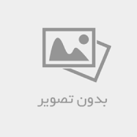 طنین